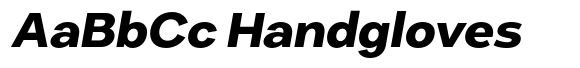 Sampl Bold Extended Oblique image