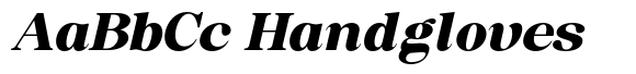 Soffline Expanded Black Italic image