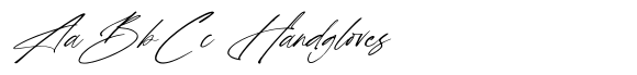Loadspeaky Absolute Italic image