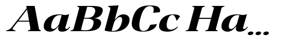 Night Queen Extra Exp Italic image