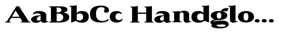 Korela Serif Grade Extra Expanded Slant image