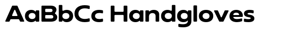 Neue Reman Gt Sf Bold Expanded image