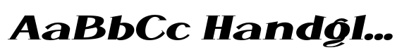 WildRoots WildRoots Italic image