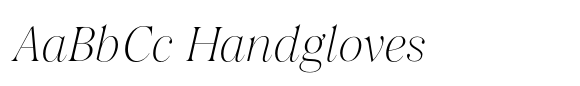 Salina Extra Light Italic image