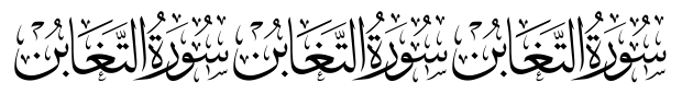 TE Quran Surah2 Tharwat image