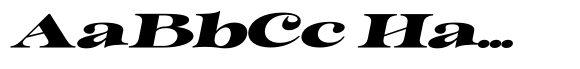 Outta Sight V2 Contrast XEx Italic image