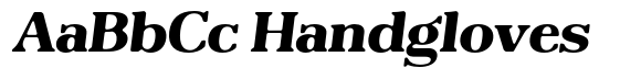 Reigans Soft Extra Bold Semi Expanded Italic image
