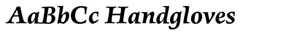 FF Angkoon Std Bold Italic image