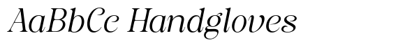 Frontend Light Italic image