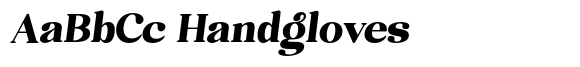 Safieka Grillex Black Italic image