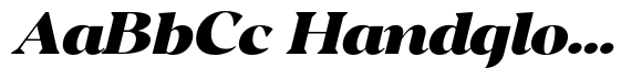 Andrise Black Expanded Italic image