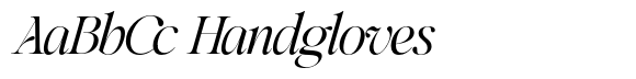 SLTF Netsera Italic image