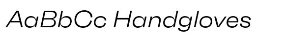 Neue Faktum Extended Light Italic font sample