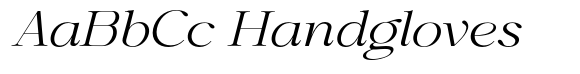 Shiffont Serif Light Expanded Italic image