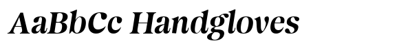 Magnivera Variable Italic Regular image