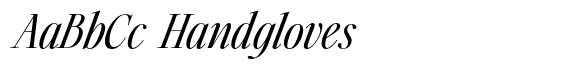 Silver Point Text Black Italic image