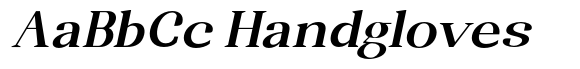 Randion Serif Family Randion Serif Bold Expanded Slanted image