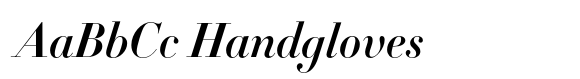 HTF Didot B24 Bold Italic image