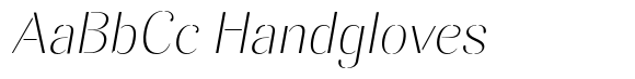 Akisan Thin Expanded Slant image