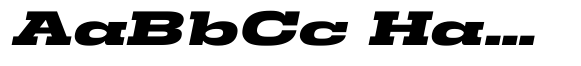 Arkari XBd UltExp Italic image