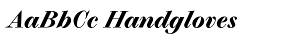 Selva Black Italic image