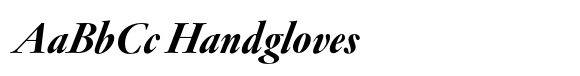 Garamond Now Extra Bold Italic image