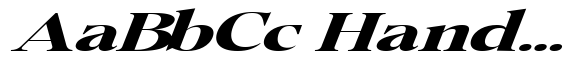 Pichellsio Black Italic Expanded image