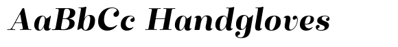 Winslow Title Mod Bold Italic image