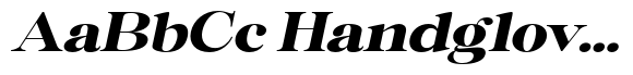 Rafiela Black Expanded Italic image