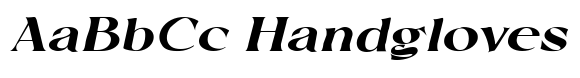 Raiselle Black Expanded Italic image