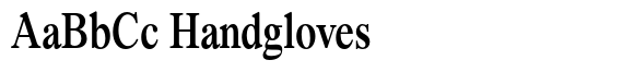 Segikan Medium Condensed image