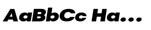 DTF Vectra Neue Black Semi Expanded Italic image