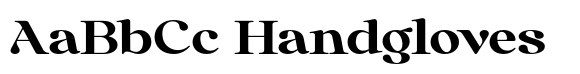 Anglica Serif Black Extra Expa image