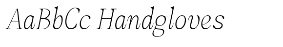 Amnesist Thin Italic image