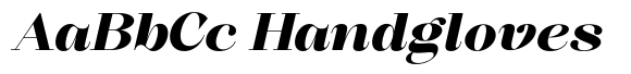 Selogia Black Expanded Italic image