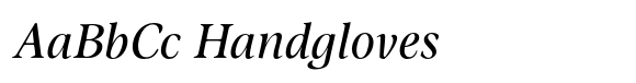 Omnibus Std Italic image