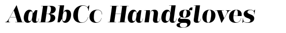 Rigor Ionic Display Pro Heavy Italic image