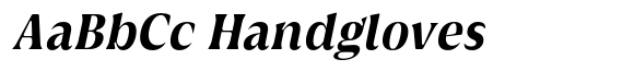 Griggs Serif GriggsSoft BoldSerifSlnt image