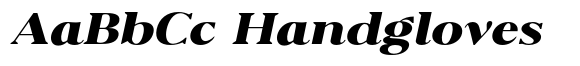 Eryndor Black Expanded Italic image