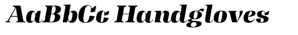 Tonus Display Black Italic image