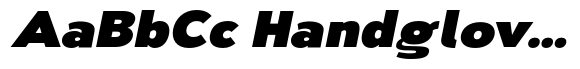 Nsai Pro Wide Extra Black Italic image