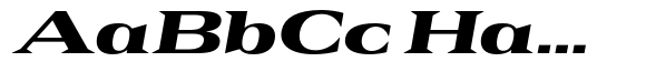 Rules Serif Exp Black Italic image