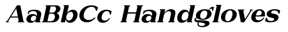 New Bight Black Expanded Italic image