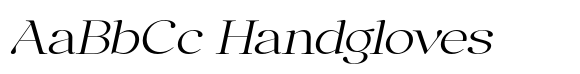 Anglica Serif Extra Expa Slanted image