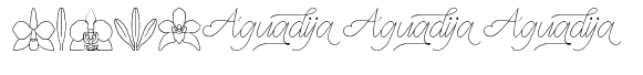 Aguadija font sample