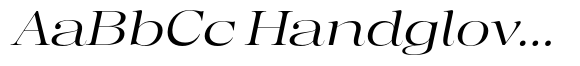 Regaris Plain Expanded Italic image