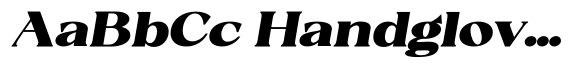 Fanilex Contrast SemiExpanded Italic image