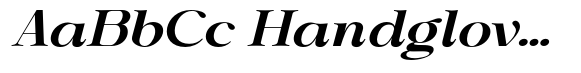 Shiffont Serif Bold Expanded Italic image
