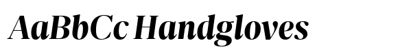 Nitida Headline Extra Bold Italic image