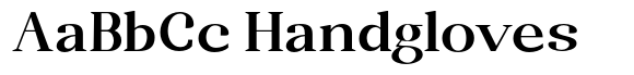 Randion Serif Family Randion Serif Bold Expanded image